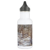 Branson Herfst Creek Winter Snow Painterly Roestvr Waterfles (Links)