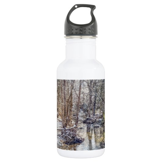 Branson Herfst Creek Winter Snow Painterly Roestvr Waterfles (Voorkant)