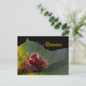 Branson Missouri, Autumn Leaf met Nut Briefkaart (Staand voorkant)