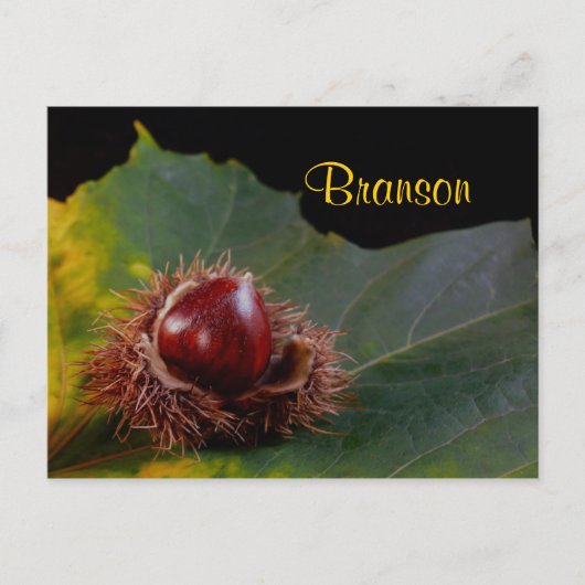 Branson Missouri, Autumn Leaf met Nut Briefkaart (Voorkant)
