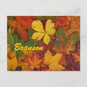 Branson Missouri Autumn Leaves Briefkaart (Voorkant)