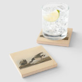 Brant Goose (Brant) uit Audubon Birds of America Stenen Onderzetter (Zijkant)