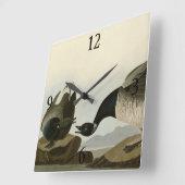 Brant Goose (Brant) uit Audubon Birds of America Vierkante Klok (Hoek)