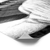 Brant Goose Poster (Hoek)