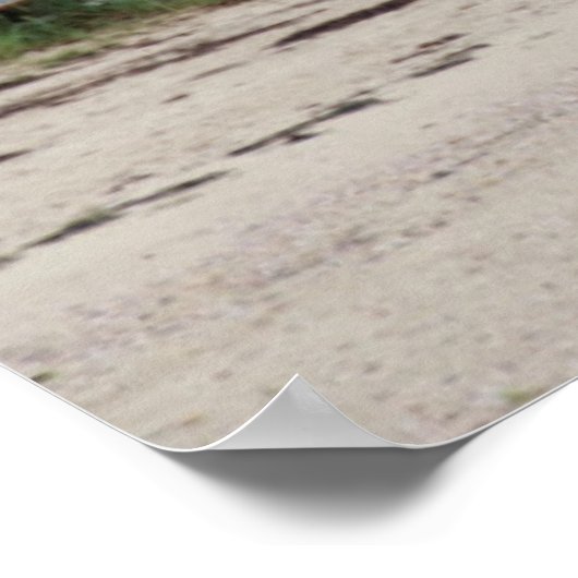 Brant Point Lighthouse 2 Poster (Hoek)