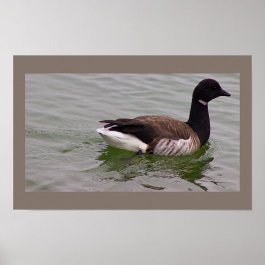 Branta Poster met Foto (Voorkant)