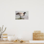Brantgans Foto Poster (Keuken)