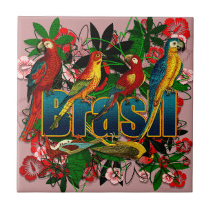 Brasil Brazilië Tropische regenwoudvogels kunst Tegeltje