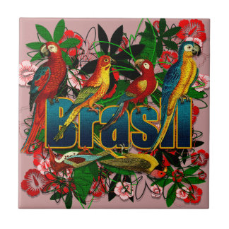 Brasil Brazilië Tropische regenwoudvogels kunst Tegeltje