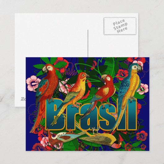 Brasil florale tropische vogels briefkaart (Voorkant / Achterkant)