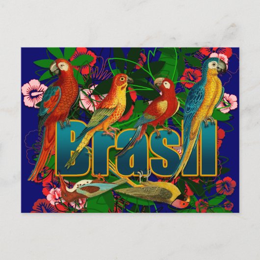 Brasil florale tropische vogels briefkaart (Voorkant)