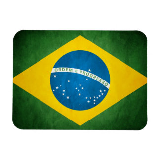Brasil Vlag Magneet