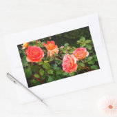 Brass Band Roos #1 Rechthoekige Stickers (Envelop)