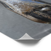 Brass hand klopper poster (Hoek)