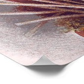 Brassavola Cuculatta  witte orchideeën Poster (Hoek)