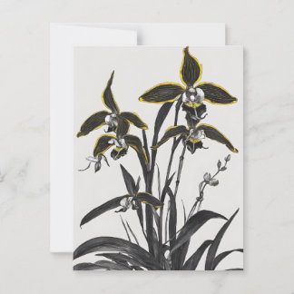 Brassia Orchideeën Moderne Kunst Briefkaart