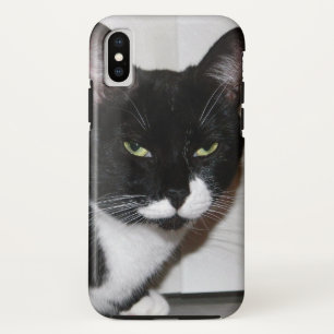 Brat Cat iPhone Case