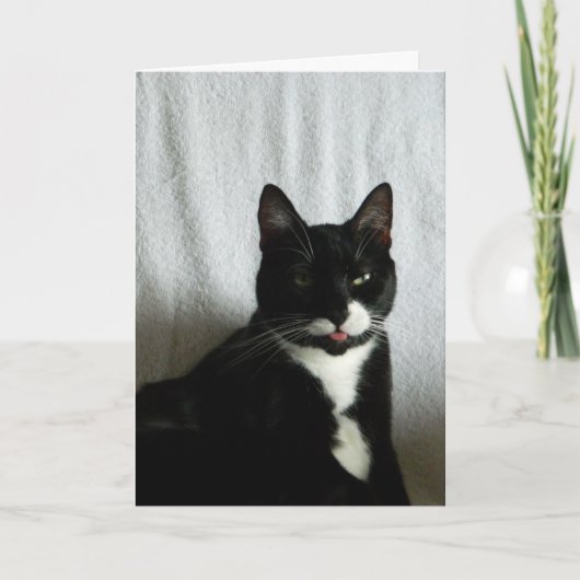 Brat Cat Razzberry Verjaardag Kaart (Voorkant)