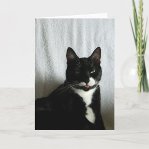 Brat Cat Razzberry Verjaardag Kaart