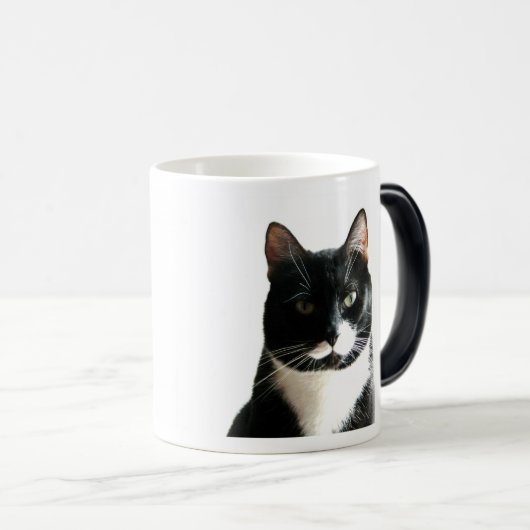 Brat Cat Stare Morphing Mok (Voorkant rechts)