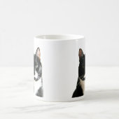 Brat Cat Stare Morphing Mok (Center)