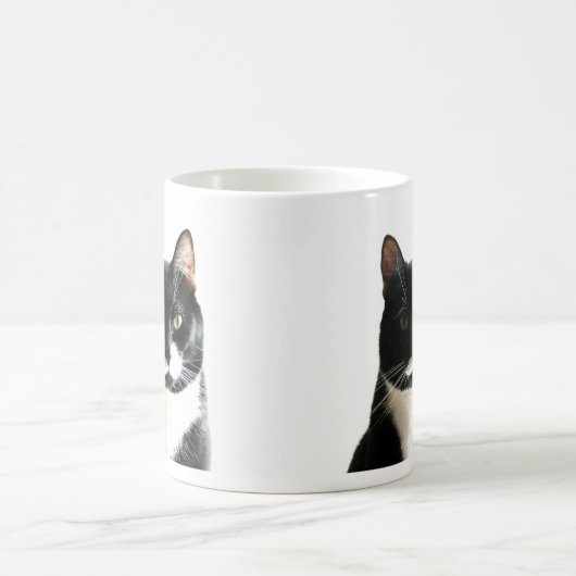 Brat Cat Stare Morphing Mok (Center)