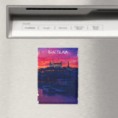 Bratislava Slowakije Nacht Stad Uitzicht Magneet (Insitu (Vaatwasser))