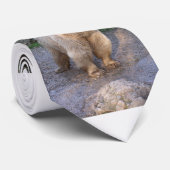 Braunbär Stropdas (Opgerold)