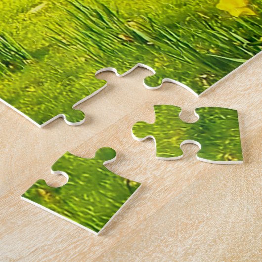 Braunschweig Duitsland. Legpuzzel (Zijkant)