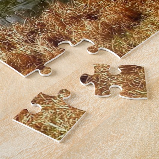 Braunschweig Park Duitsland Legpuzzel (Zijkant)