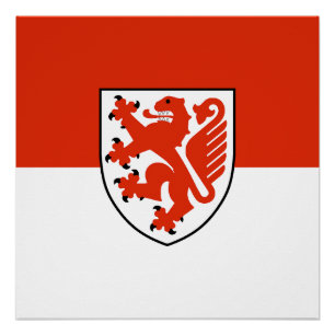 Braunschweig stadswapen Duitsland vlag symbool Perfect Poster
