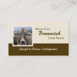 Braunvieh alpine melkkoe visitekaartje