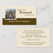 Braunvieh alpine melkkoe visitekaartje (Voorkant / Achterkant)