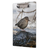 Brave American Dipper Klembord (Links)