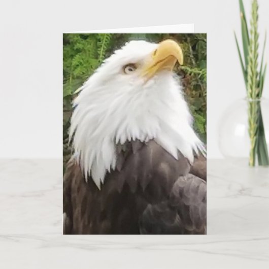 Brave Eagle Greeting Card Kaart (Voorkant)