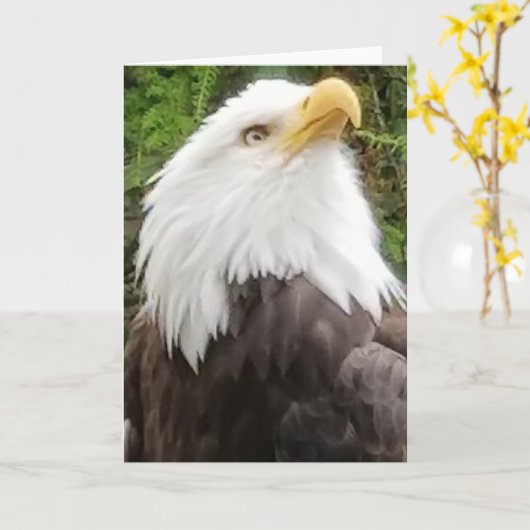 Brave Eagle Greeting Card Kaart (Gele Bloem)