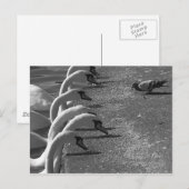 Brave Pigeon Briefkaart (Voorkant / Achterkant)