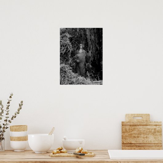 BRAVE POSTER (Keuken)