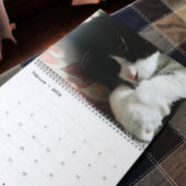 Brave Sir Baby Kalender