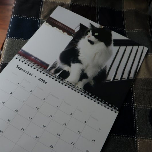 Brave Sir Baby Kalender