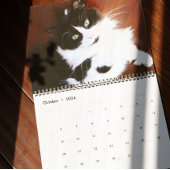 Brave Sir Baby Kalender