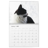 Brave Sir Baby Tuxedo Cat Kalender (Jan 2027)