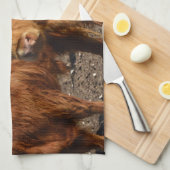 Brawny Beauty: de majestueuze Big Brown Highland K Theedoek (Quarter Fold)