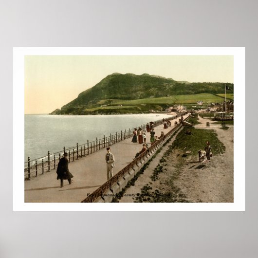 Bray Promenade, County Wicklow Poster (Voorkant)