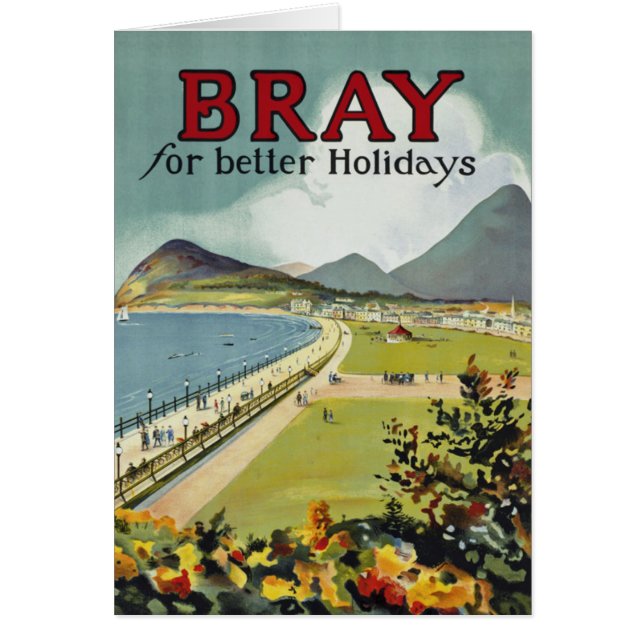 Bray ~ voor betere feestdagen (Voorkant)