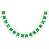 Brazil Oil Painting Drawing Vlaggetjes (Alle)