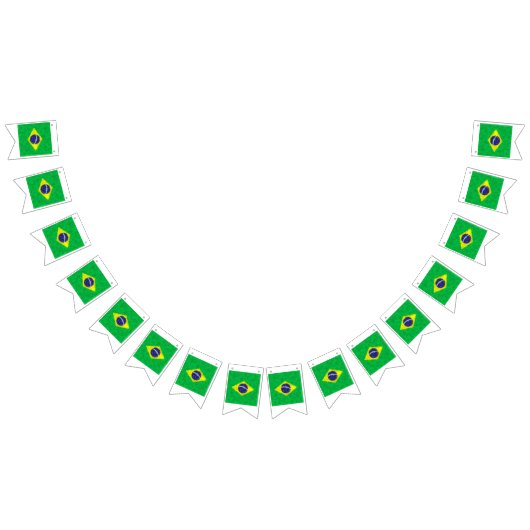 Brazil Oil Painting Drawing Vlaggetjes (Alle)