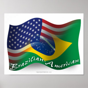 Braziliaans-Amerikaanse golfvlag Poster