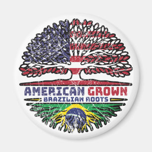Braziliaans - Amerikaanse Verenigde Staten Verenig Magneet