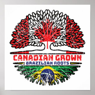 Braziliaans Brazilië Canadees Canada Boom Wortels Poster